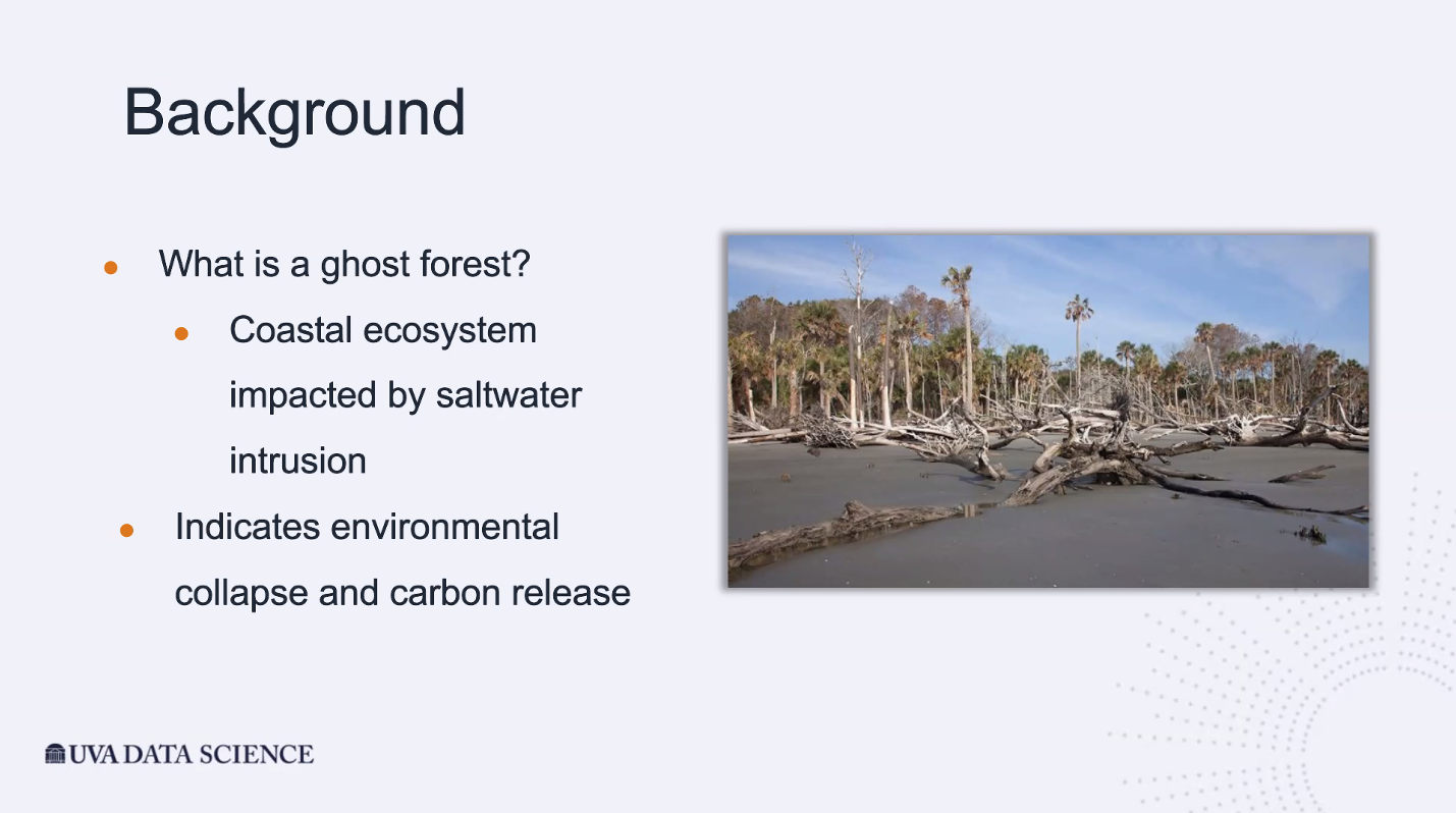 Screenshot of a background slide for the ghost forest capstone project.