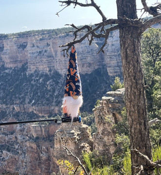 Boo perched in tree bike trip with Phil Bourne