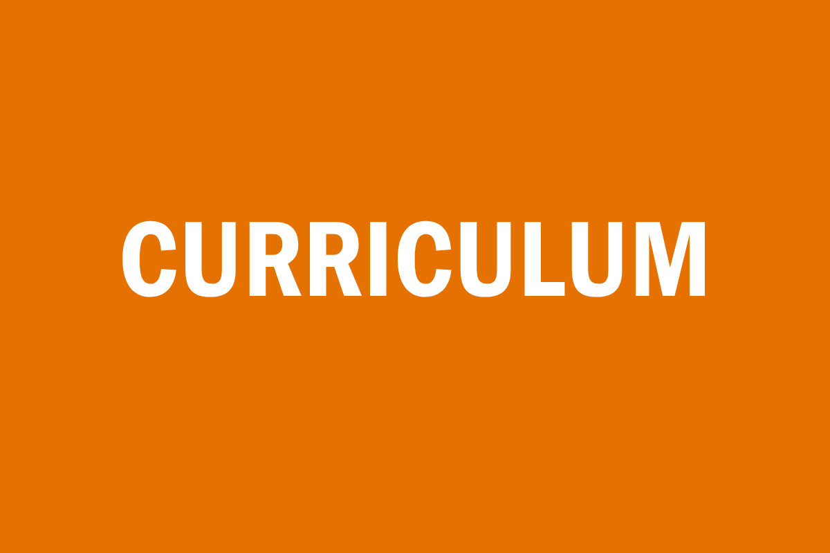 Curriculum