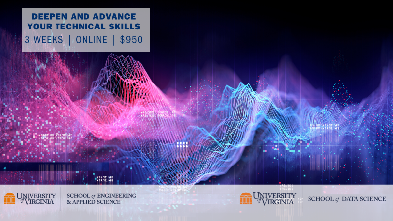 Abstract digital landscape with colorful wireframes and data particles symbolizes online technical skill development. Text: "Deepen Your Skills, 3 Weeks, $950."