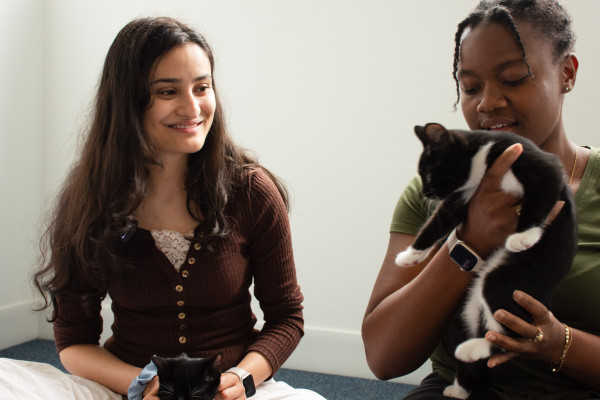 Disha smiles at Courtney who is holding up a kitten. Disha holds one of the black and white kittens in her lap.