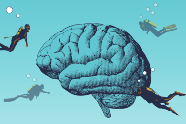 Image of a brain and scuba divers
